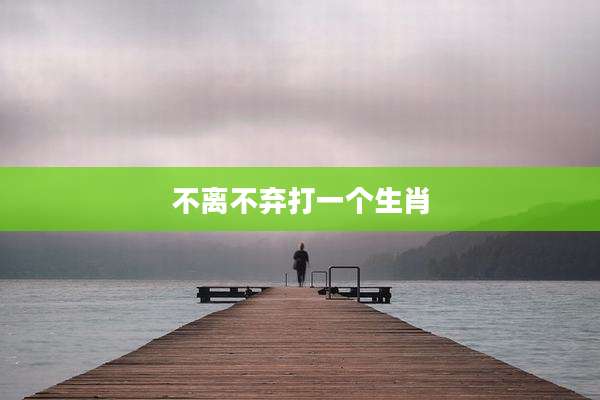 不离不弃打一个生肖