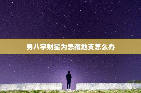 男八字财星为忌藏地支怎么办