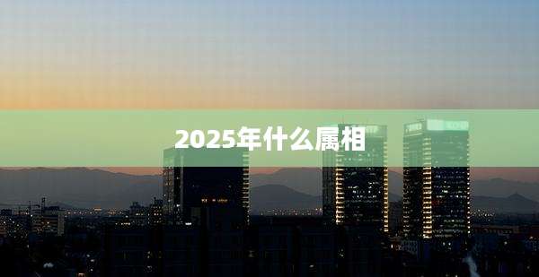 2025年什么属相