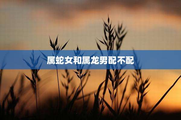 属蛇女和属龙男配不配