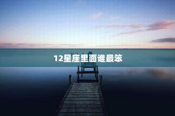 12星座里面谁最笨