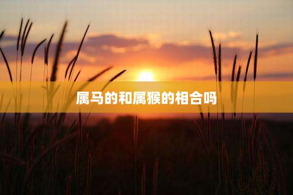 属马的和属猴的相合吗