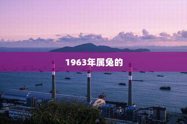 1963年属兔的