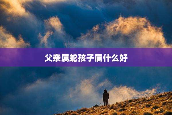 父亲属蛇孩子属什么好