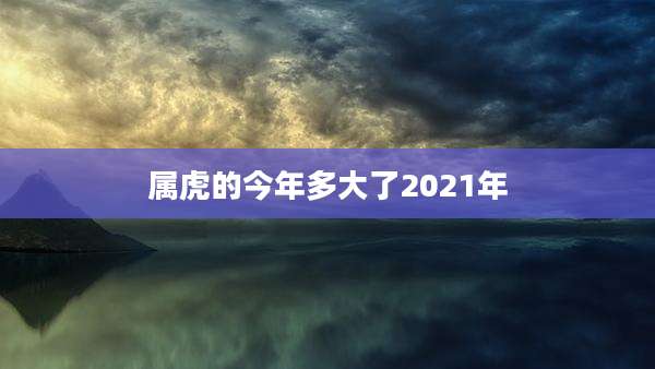属虎的今年多大了2021年