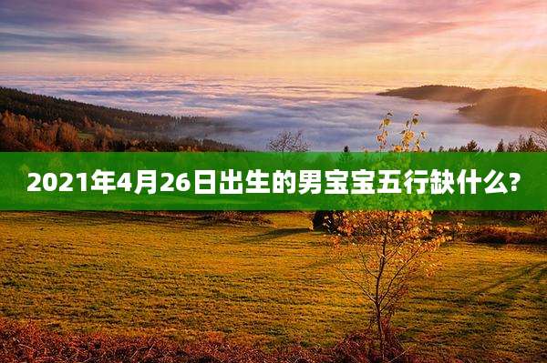 2021年4月26日出生的男宝宝五行缺什么?