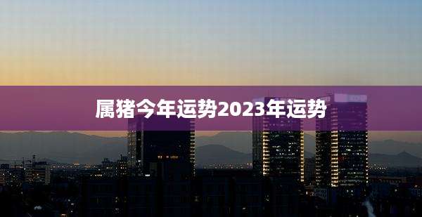 属猪今年运势2023年运势