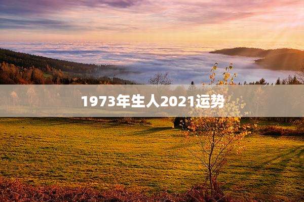 1973年生人2021运势