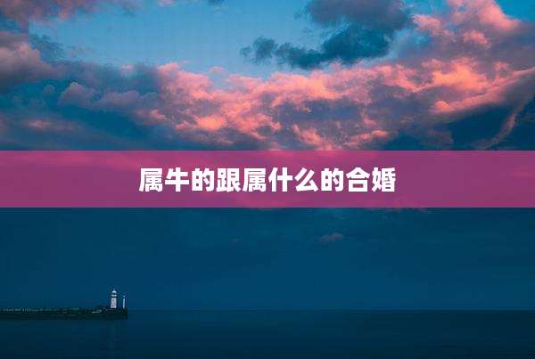 属牛的跟属什么的合婚