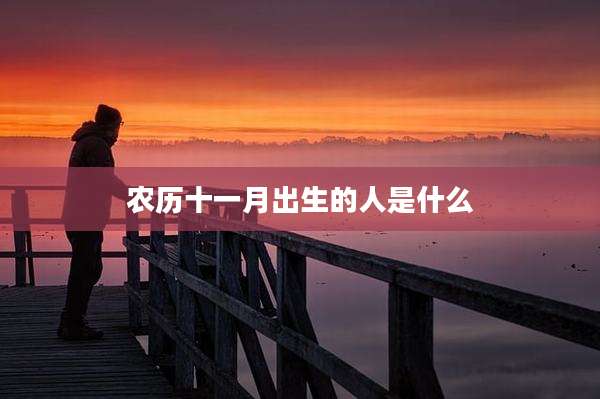 农历十一月出生的人是什么