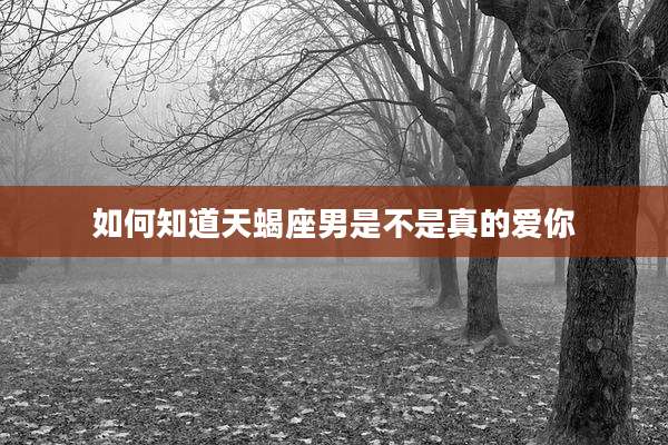 如何知道天蝎座男是不是真的爱你