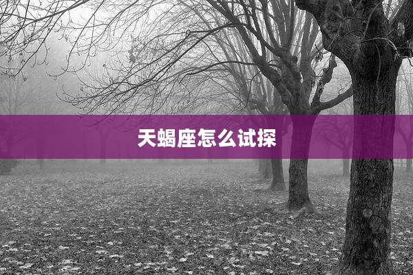 天蝎座怎么试探