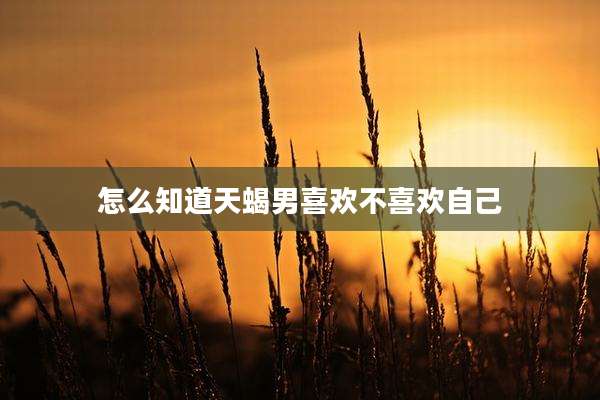 怎么知道天蝎男喜欢不喜欢自己