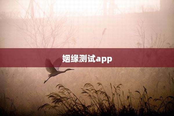 姻缘测试app