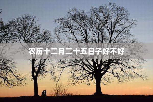 农历十二月二十五日子好不好