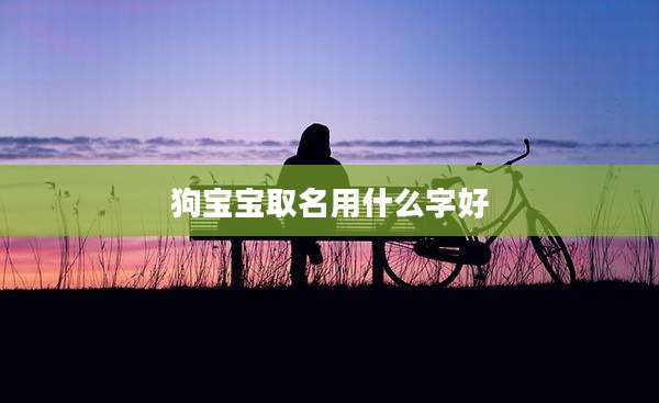 狗宝宝取名用什么字好
