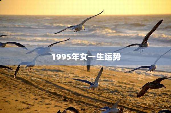 1995年女一生运势