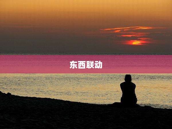 东西联动