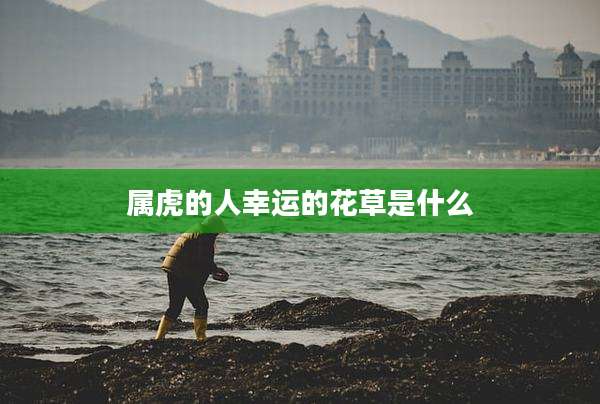 属虎的人幸运的花草是什么