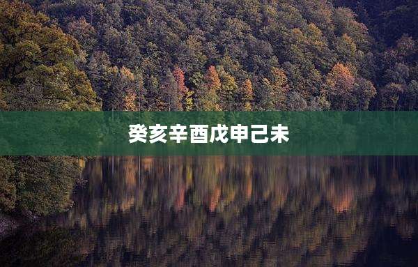癸亥辛酉戊申己未