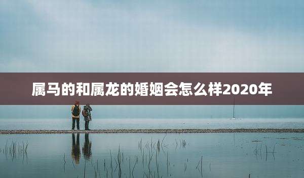 属马的和属龙的婚姻会怎么样2020年