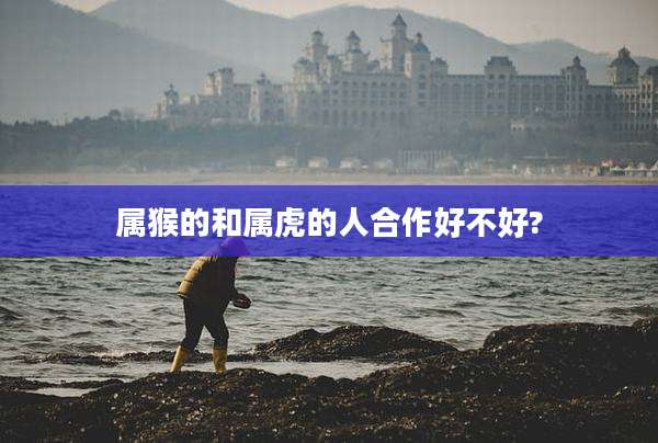属猴的和属虎的人合作好不好?
