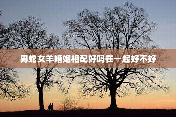 男蛇女羊婚姻相配好吗在一起好不好