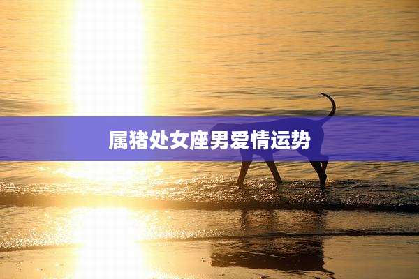属猪处女座男爱情运势