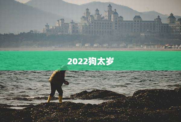 2022狗太岁