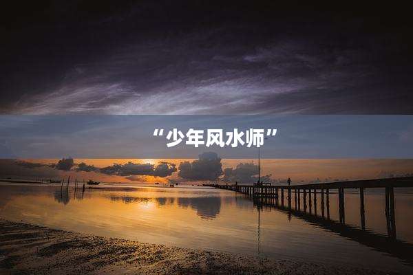 “少年风水师”
