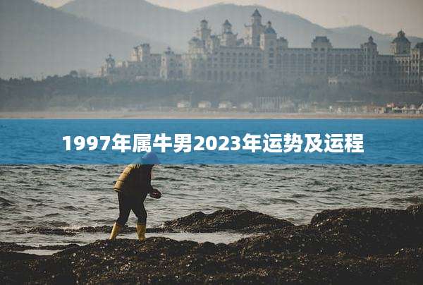 1997年属牛男2023年运势及运程