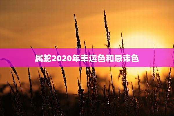属蛇2020年幸运色和忌讳色