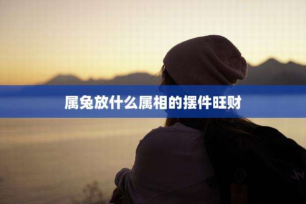 属兔放什么属相的摆件旺财