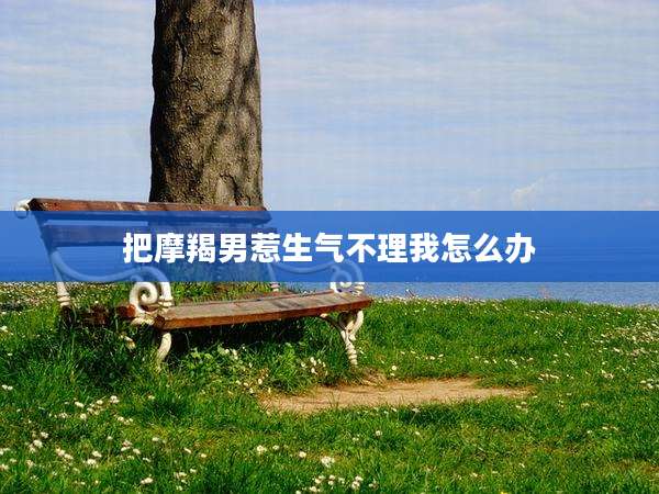 把摩羯男惹生气不理我怎么办
