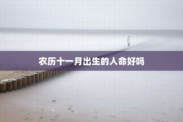 农历十一月出生的人命好吗