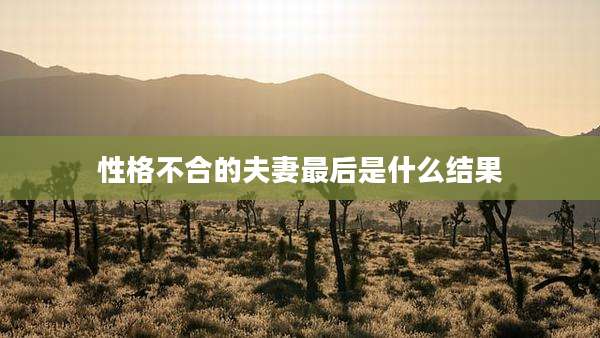 性格不合的夫妻最后是什么结果