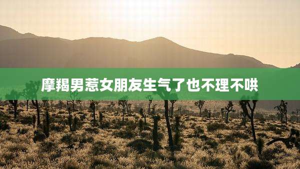 摩羯男惹女朋友生气了也不理不哄