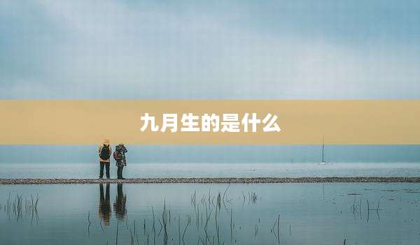 九月生的是什么