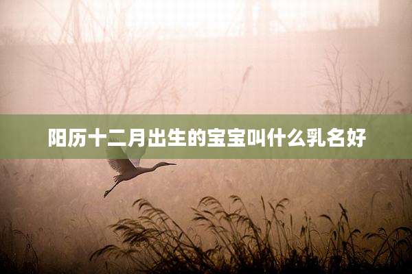 阳历十二月出生的宝宝叫什么乳名好
