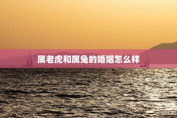 属老虎和属兔的婚姻怎么样