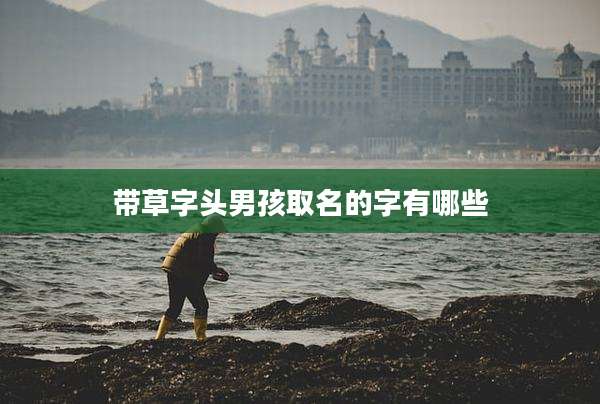 带草字头男孩取名的字有哪些