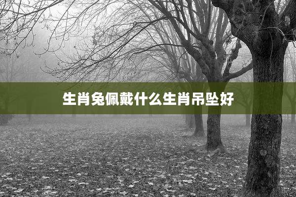 生肖兔佩戴什么生肖吊坠好