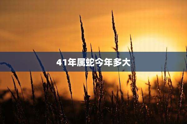 41年属蛇今年多大