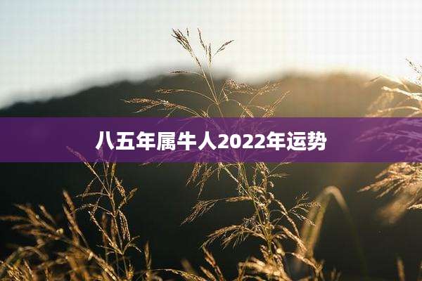 八五年属牛人2022年运势
