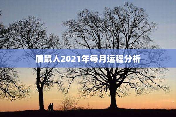 属鼠人2021年每月运程分析