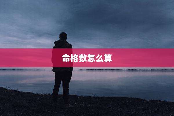 命格数怎么算