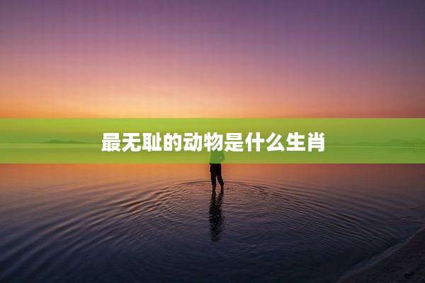 最***的动物是什么生肖