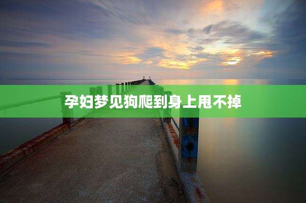 孕妇梦见狗爬到身上甩不掉