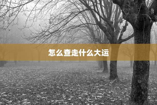 怎么查走什么大运