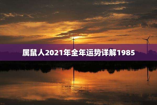 属鼠人2021年全年运势详解1985